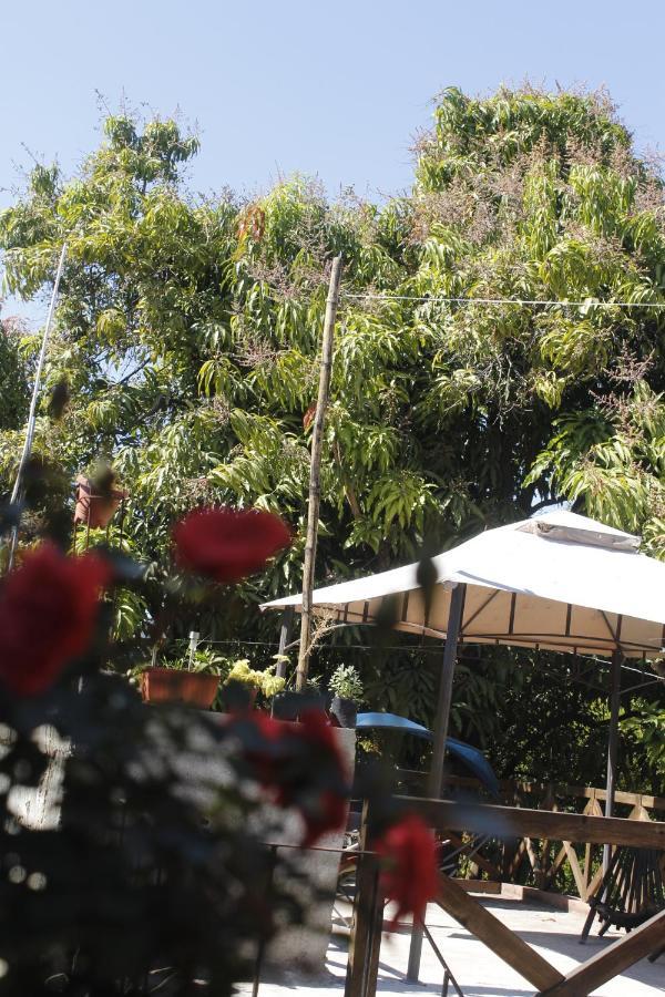 La Casa Del Jardin Bed & Breakfast Tuxtla Gutierrez Room photo